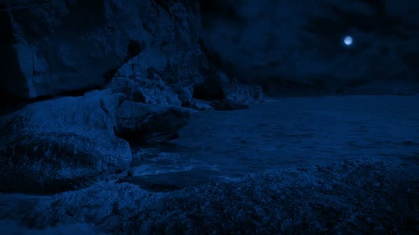 Rocky Sea Coast Moonlight — стоковое видео