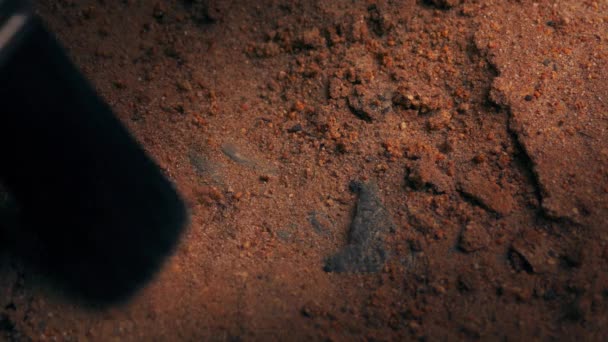 Scientist Excavates Dinosaur Claw Fossil — Stock Video