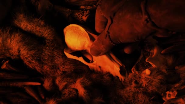 Stammesmensch Benutzt Schädel Für Ritual Feuerschein — Stockvideo