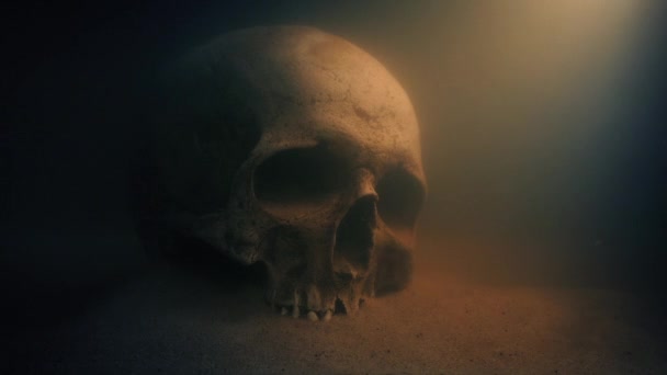 Güneş Işığının Kuyusunda Suyun Altında Kafatası — Stok video