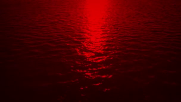Survoler Surface Mer Rouge — Video