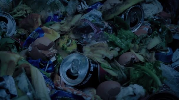 Campuran Tong Sampah Dalam Tempat Sampah Yang Dipindahkan — Stok Video