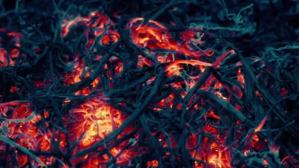 Ateş Kaldı Kırmızı Yakın Çekim Parlıyor — Stok video
