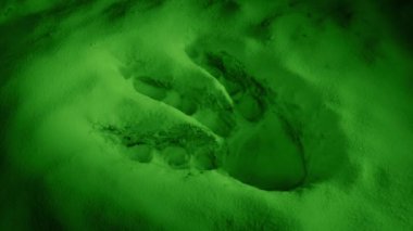 Yaratık Ayak İzi Uzaylı Gezegeni