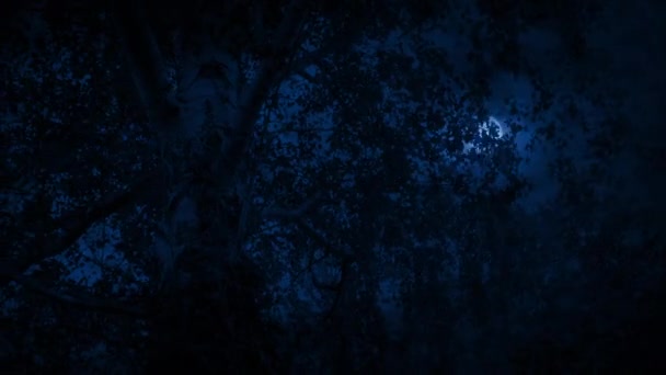 Κυκλώνοντας Δέντρο Κεραυνός Χτυπά Στο Νυχτερινό Ουρανό — Αρχείο Βίντεο