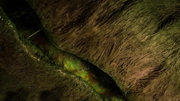 Criatura Alienígena Colorida Abre Techo Cueva — Vídeo de stock