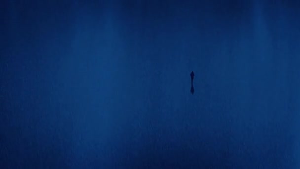 Eenzame Persoon Loopt Nachts Regenstrand Aan Wal — Stockvideo