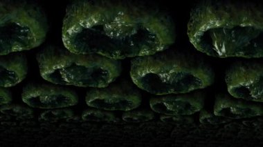 Uzaylı Yumurta Çuvalı Tavanı Kaplar