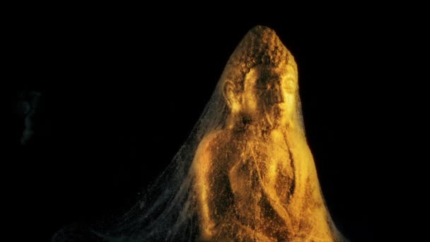 Spinnweben Gehüllter Gold Buddha Wird Höhle Abgeholt — Stockvideo