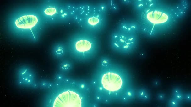 Pływające Nad Świecącymi Kulami Światłami Wycieczka Halucynacyjna — Wideo stockowe