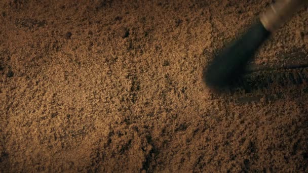 ปากของไดโนเสาร Fossil างของ Debris — วีดีโอสต็อก