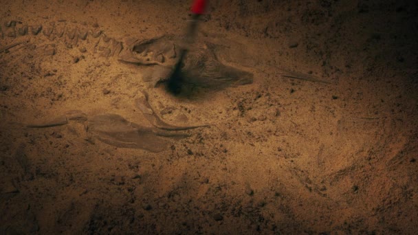 挖掘大型侏罗纪鱼类化石 — 图库视频影像