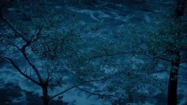 Karanlık çöktüğünde Nehir Ağaçların Arasında Sel