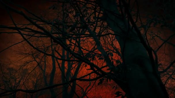 黑暗树后面的启示录天空第三次大战场景 — 图库视频影像