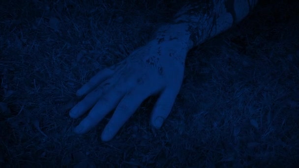 警方拍摄 夜晚草丛上的血腥臂膀 — 图库视频影像