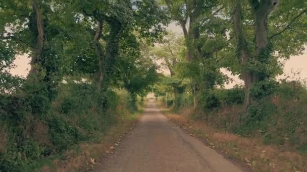 Αγροτικός Δρόμος Καλοκαίρι Κινείται Shot — Αρχείο Βίντεο