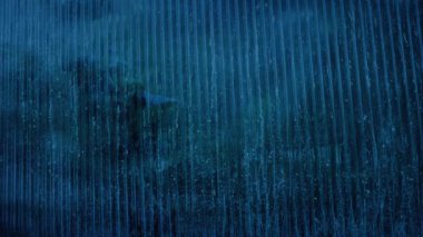 İş Penceresi Yağmurda Çiçeklerle çevrili