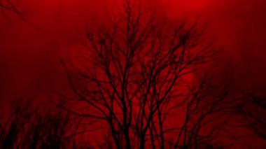 Çıplak ağaçlar ve dumanla kirlenmiş ölü çevre