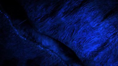 Uzaylı Yaratık Tavanda Kabuk Açtı