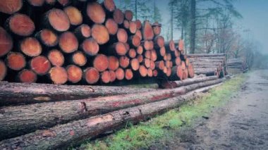 Yükselen Yağmurdaki Yığın Çekimi