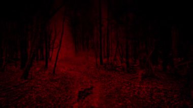 Ürkütücü Kırmızı Ormanda Yürüyorum.