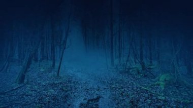 Karanlık, sisli ormanda yürüyorum. Korkunç bir bakış açısı.