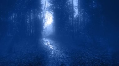 Şimşek, Puslu Ormanlık Gece Korkutucu Sahneyi aydınlatıyor
