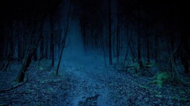 Karanlık Ormanda Yürüyen Korkunç POV