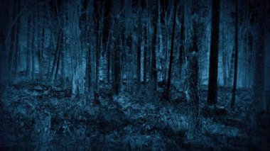 Anonim Kamera Ormanda Çalışıyor