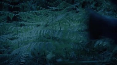 Ormanda koşan adam 3 atış yaptı.