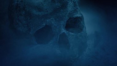 Puslu bir arazide Yerde Kurukafa