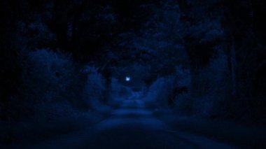 Uzakta Ay Olmuş Ülke Yolu