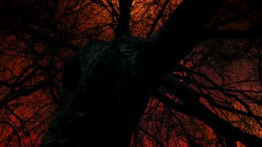 Gökyüzünde Zehirli Gökyüzü olan Ölü Ağaç