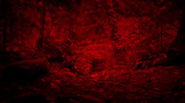 Ormana doğru ilerliyoruz. Korkunç kırmızı nokta.