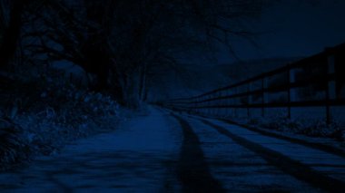 Ay ışığında çiçekli kır yolu