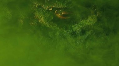 Uzaylı Duvarı 'ndan El Kırıldı Bilim Kurgu Sahnesi