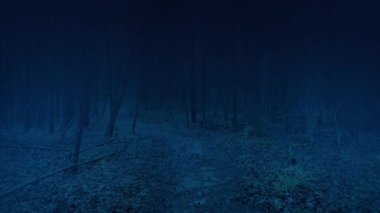 Karanlık, sisli ormanlarda yürüyorum.