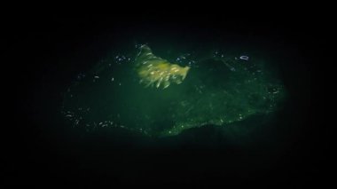Çatıdaki Uzaylı Yaratık El feneriyle Yanıyordu