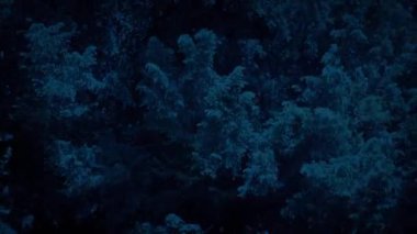 Fırtınalı bir akşamda Rüzgar Büyük Ağacı Sarsıyor