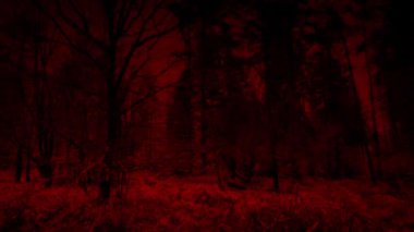 Koyu kırmızı orman hareketli çekim