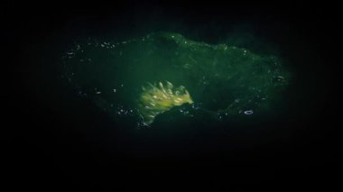 Fener, Misty Lair 'deki Uzaylı Yaratığı Işıklar