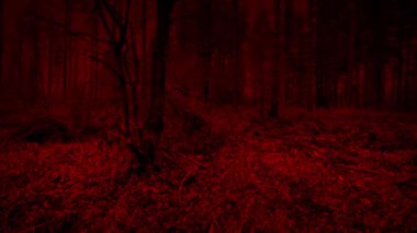 Ürkütücü Kızıl Orman Tarafı Görünümünde Yürüyorum