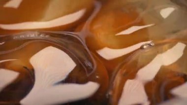 Cola 'daki buz küpleri 2 shot içer.