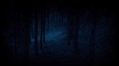 Karanlık ürpertici ormanda yürürken