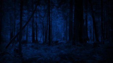 Ay ışığında Ormanda İleri Uçmak