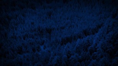 Gece Karlı Orman Vadisi 'nin üzerinde uçarken