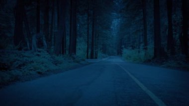 Akşamları ormanda karşıdan karşıya geçmek.