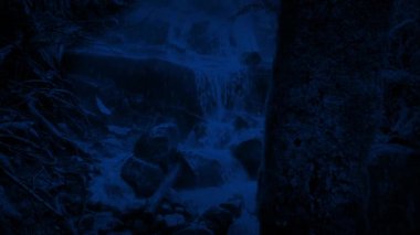 Geceleyin Şelale 'nin yakınındaki Ağaç Geçidi