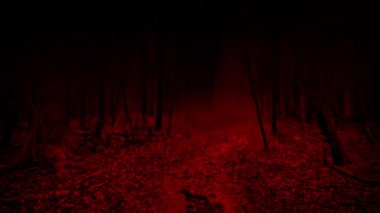 Karanlık ve Korkunç Ormanda Yürüyorum