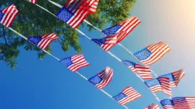 Güneş Altında Ağaca Göre Amerikan Bayrakları